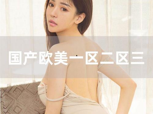 视频区小说区欧美国产,多元文化交融的文学盛宴