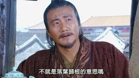 国产老剧剧情解说大全视频,穿越时空的回忆之旅