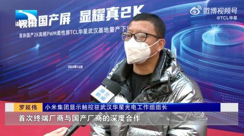 国产屏幕怎么崛起了呢视频,揭秘自主创新的力量